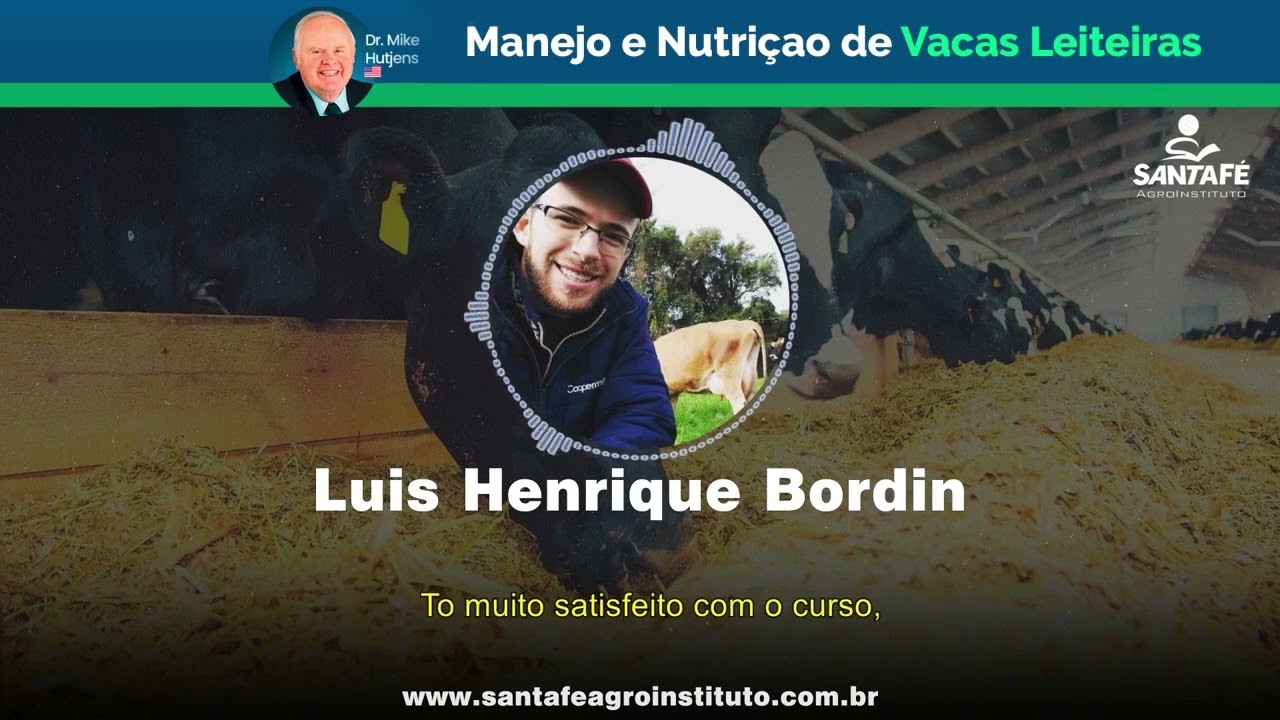Depoimento Luis Henrique Bordin