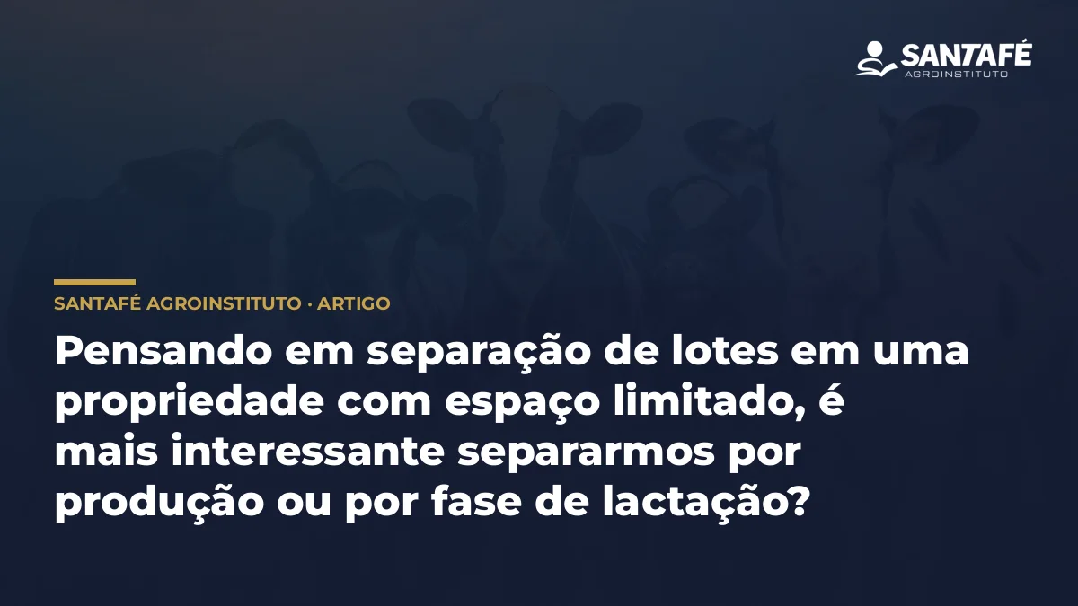 Pensando em separação de lotes em uma propriedade com espaço limitado, é mais interessante separarmos por produção ou por fase de lactação?