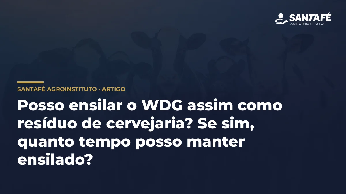 Posso ensilar o WDG assim como resíduo de cervejaria? Se sim, quanto tempo posso manter ensilado?