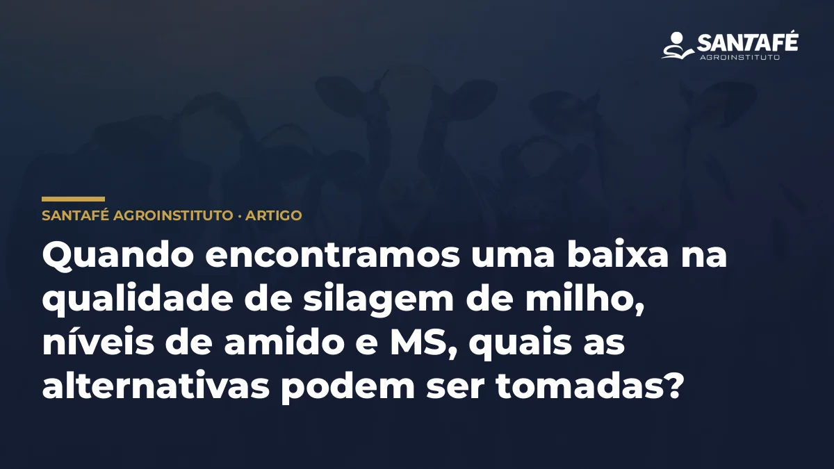 Quando encontramos uma baixa na qualidade de silagem de milho, níveis de amido e MS, quais as alternativas podem ser tomadas?